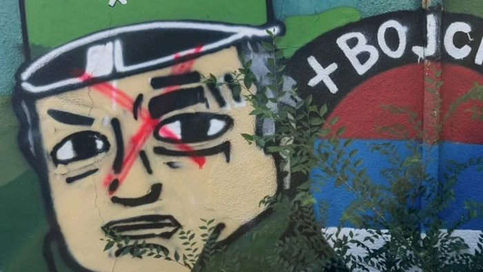 Mladic