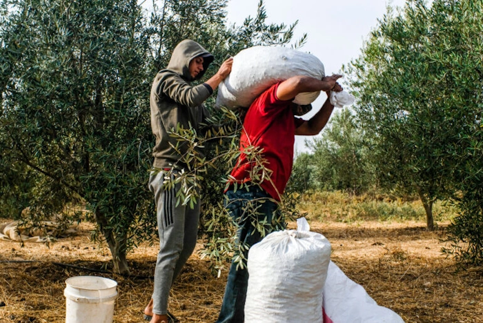 Palestina