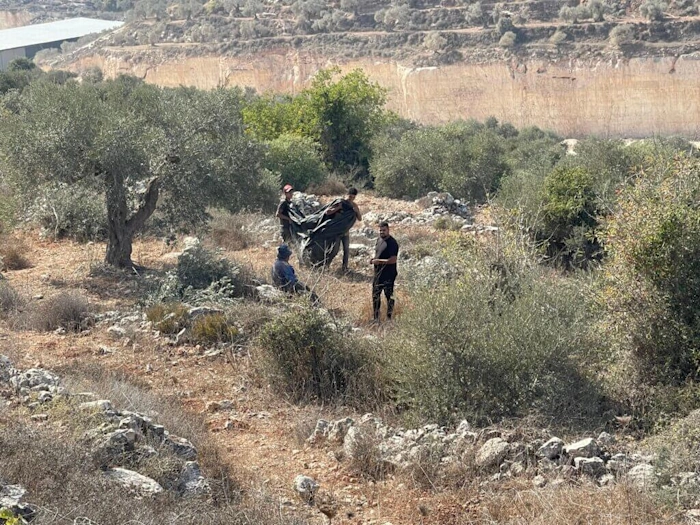 Palestina