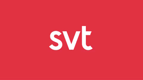 Sveriges Television